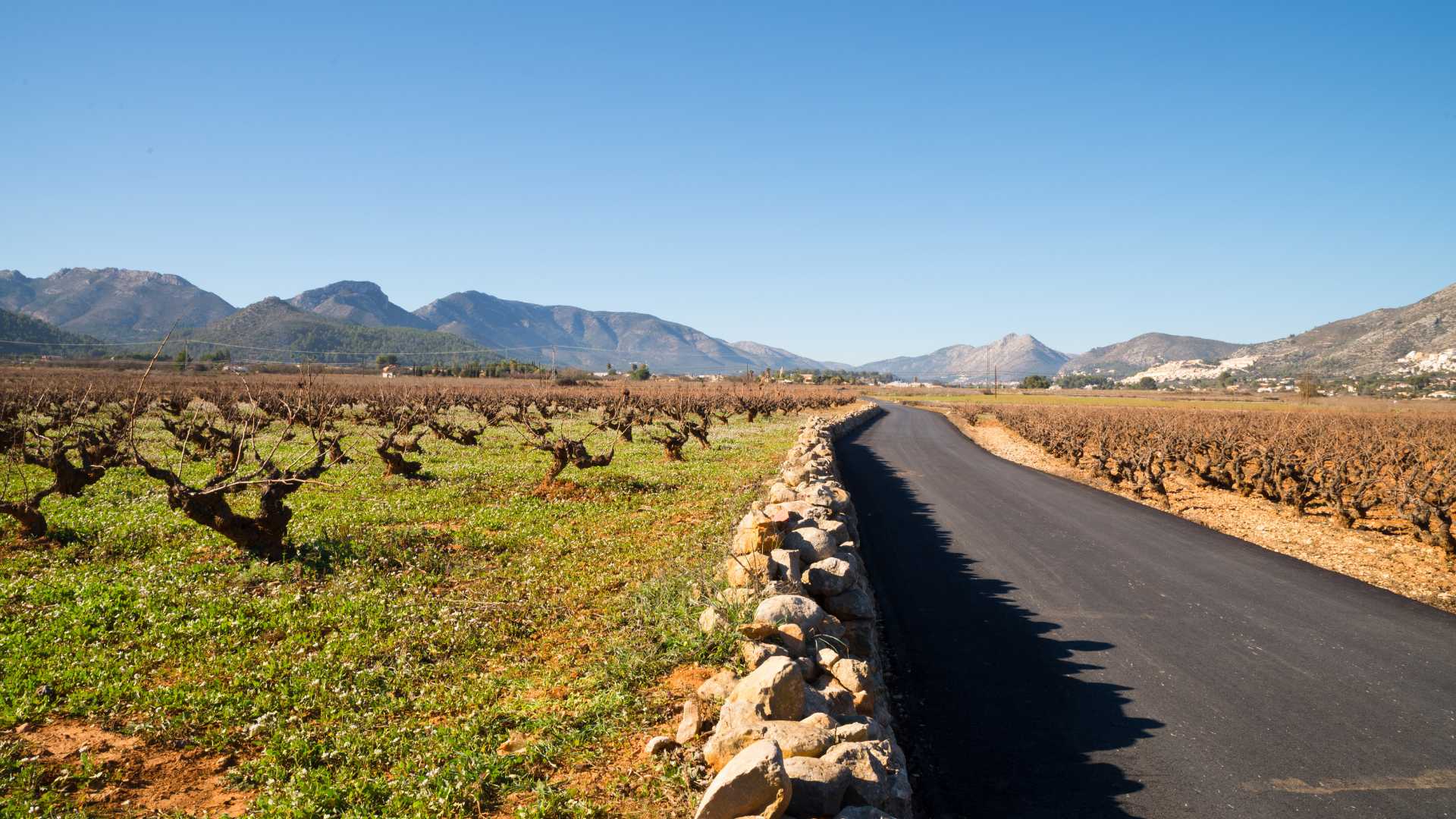 Mountain hiking trail