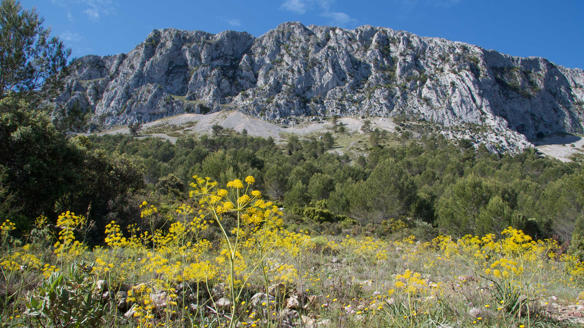 Sierra de Bèrnia